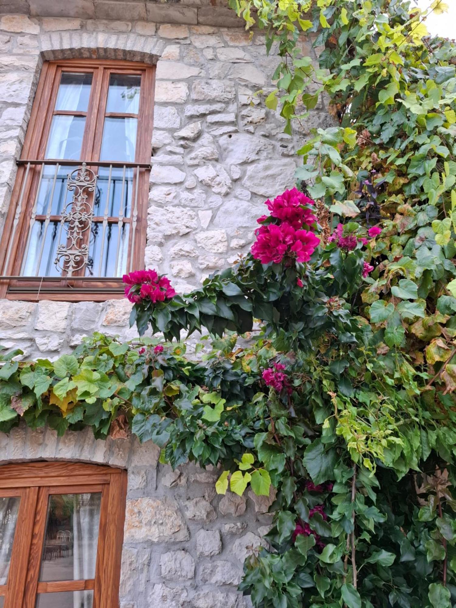 Ras Trebinje Stari Grad住宿加早餐旅馆 外观 照片